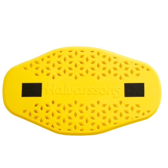 Ryggplate