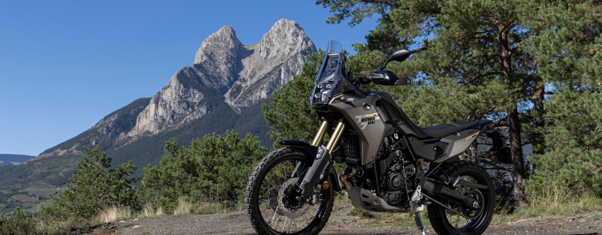 Speedmc bildeslider nummer 2